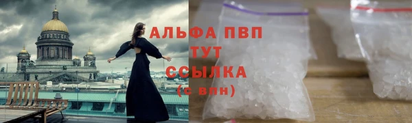 амф Аркадак