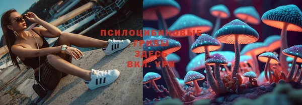прущая мука Арсеньев