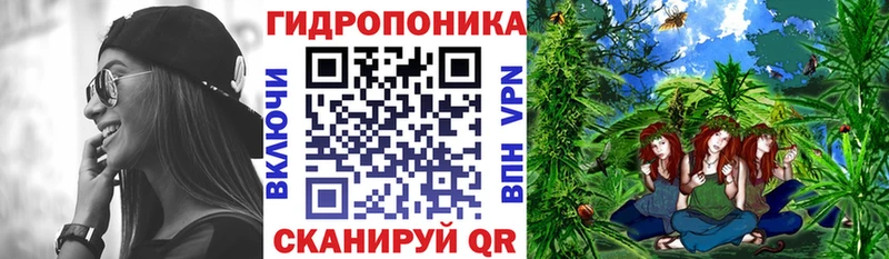 darknet Telegram  omg ССЫЛКА  Талдом  Шишки марихуана THC 21% 